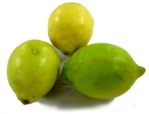 Citron Lime De France Par 200g