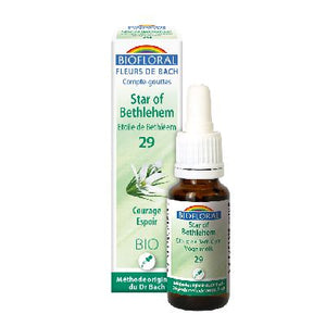 Ef Etoile Bethleem 20 Ml