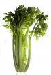 Celeri Vert Branche D'espagne Par 500g