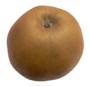 Pomme Canada Grise De France Par 500g