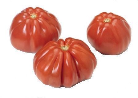 Tomate Cerise Assortiment De France Par 500g